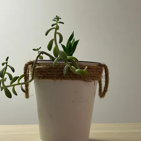 Casa Da Do Rock شقة *