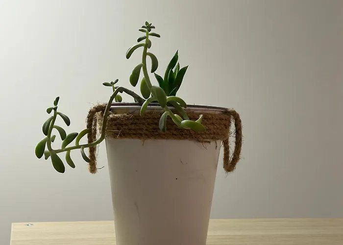 Casa Da Do Rock Apartamento *