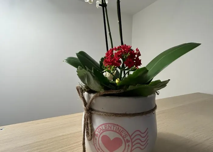 Casa Da Do Rock Apartamento Paredes de Coura